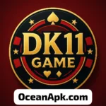 Dk11 Game